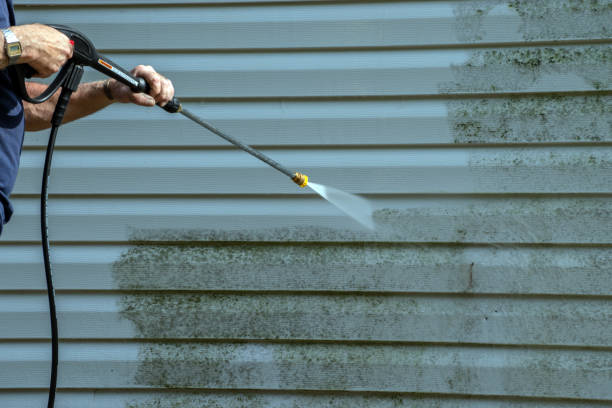 Best House Exterior Washing  in Luck, WI